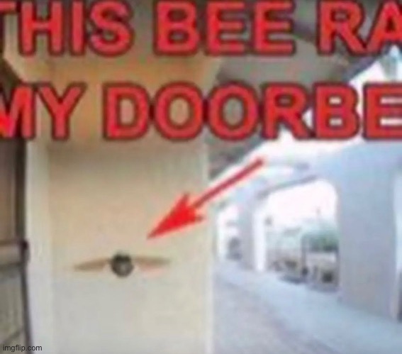 THIS BEE RANG MY DOORBELL | made w/ Imgflip meme maker