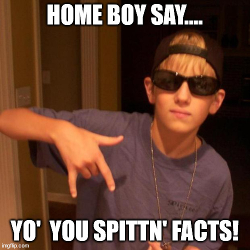 rapper nick | HOME BOY SAY.... YO'  YOU SPITTN' FACTS! | image tagged in rapper nick | made w/ Imgflip meme maker