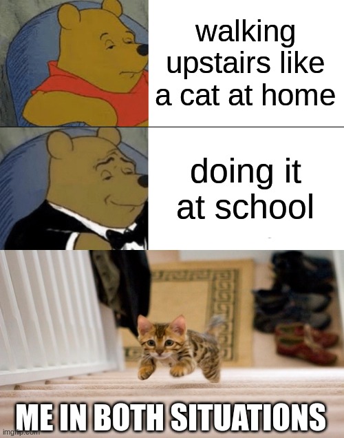 If this gets at least 20 upvotes I'll make a gif of me doing that | walking upstairs like a cat at home; doing it at school; ME IN BOTH SITUATIONS | image tagged in memes,tuxedo winnie the pooh | made w/ Imgflip meme maker