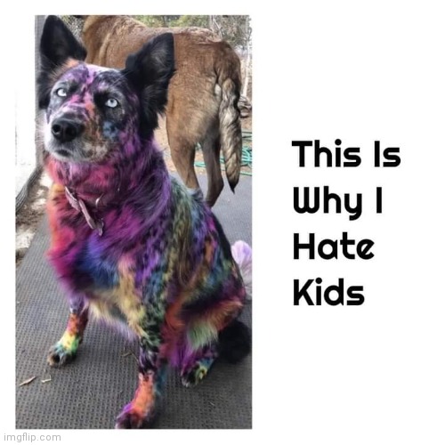 Fun with markers | image tagged in dog,painted,markers,kids | made w/ Imgflip meme maker