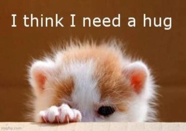 Have you hugged today | image tagged in hugs | made w/ Imgflip meme maker