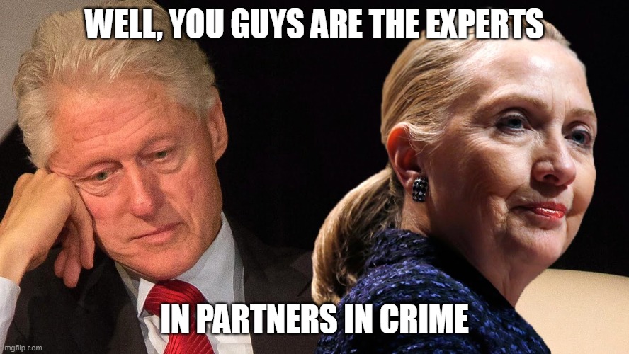 WELL, YOU GUYS ARE THE EXPERTS IN PARTNERS IN CRIME | made w/ Imgflip meme maker