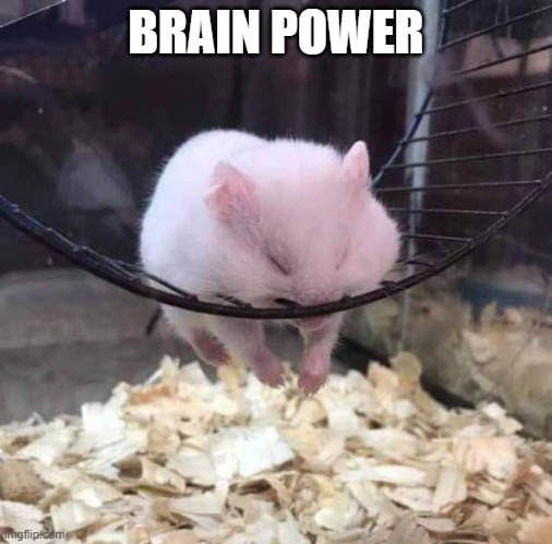 Sleeping Hamster on a Wheel | BRAIN POWER | image tagged in sleeping hamster on a wheel | made w/ Imgflip meme maker