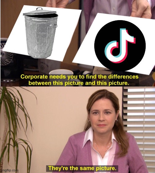 They're The Same Picture | image tagged in memes,they're the same picture | made w/ Imgflip meme maker