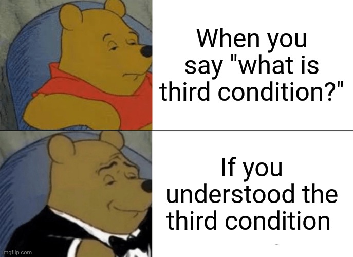 My meme | When you say "what is third condition?"; If you understood the third condition | image tagged in memes,tuxedo winnie the pooh | made w/ Imgflip meme maker