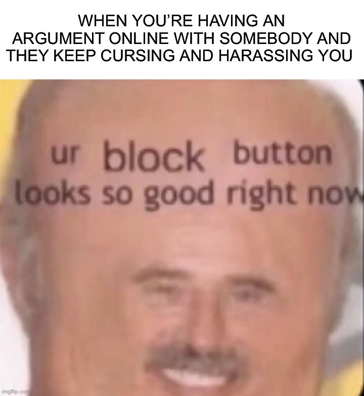 True story |  WHEN YOU’RE HAVING AN ARGUMENT ONLINE WITH SOMEBODY AND THEY KEEP CURSING AND HARASSING YOU | image tagged in memes,funny,true story,block,blocking,yes | made w/ Imgflip meme maker