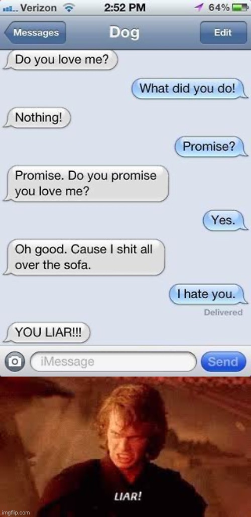 Liar! | image tagged in anakin liar,anakin,liar,dogs,funny texts,oh wow | made w/ Imgflip meme maker