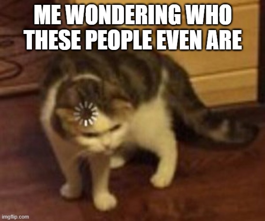 ME WONDERING WHO THESE PEOPLE EVEN ARE | image tagged in loading cat | made w/ Imgflip meme maker