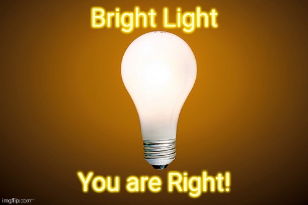 Bright Light, You are right! | image tagged in bright light you are right | made w/ Imgflip meme maker