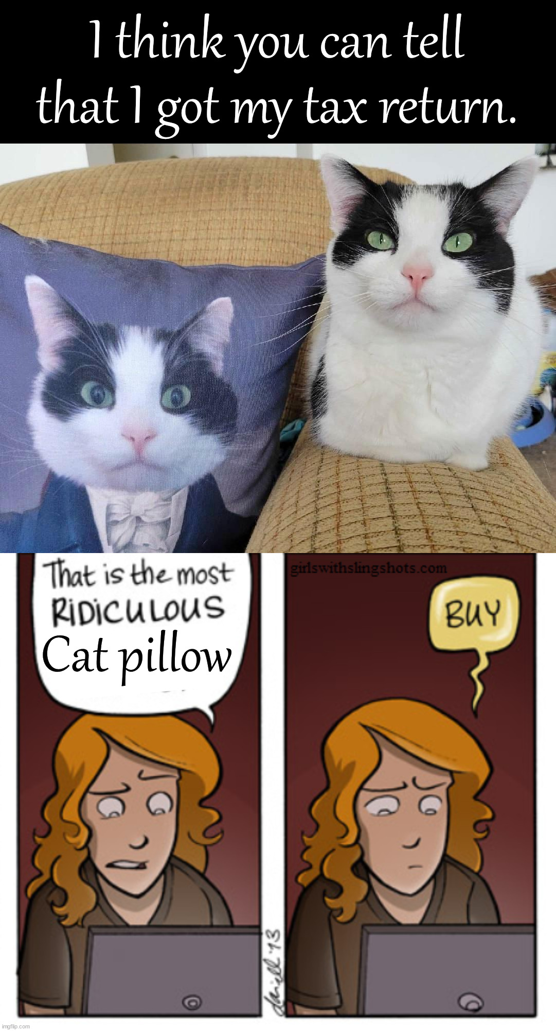 I think you can tell that I got my tax return. Cat pillow | image tagged in gws most ridiculous buy,cats | made w/ Imgflip meme maker