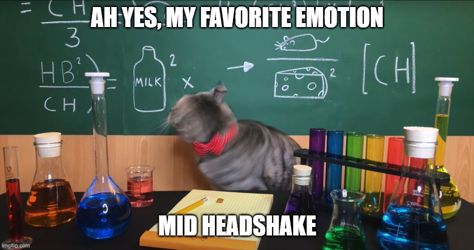Mid headshake bella | AH YES, MY FAVORITE EMOTION; MID HEADSHAKE | image tagged in cat,funny | made w/ Imgflip meme maker