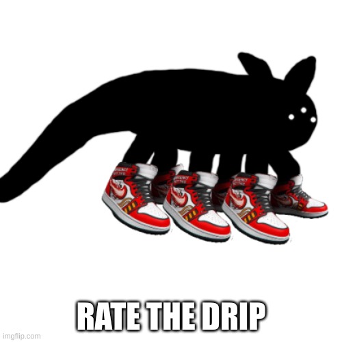 IDIOT DRIP | RATE THE DRIP | image tagged in idiot drip | made w/ Imgflip meme maker