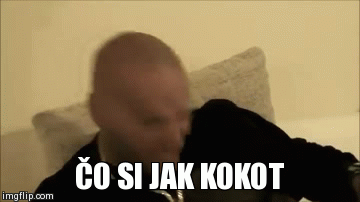 ÄŒO SI JAK KOKOT | image tagged in gifs | made w/ Imgflip video-to-gif maker
