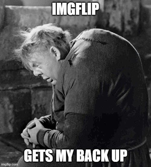 Back Up the Leaderboard | IMGFLIP; GETS MY BACK UP | image tagged in hunchback of notre dame,imgflip users | made w/ Imgflip meme maker