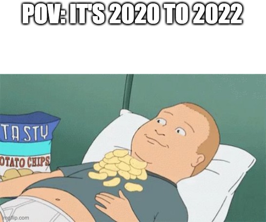 Bobby Hill chips | POV: IT'S 2020 TO 2022 | image tagged in bobby hill chips | made w/ Imgflip meme maker