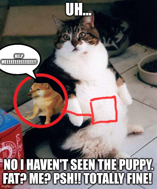 fat cat | UH... HELP MEEEEEEEEEEEEEEE!! NO I HAVEN'T SEEN THE PUPPY. FAT? ME? PSH!! TOTALLY FINE! | image tagged in fat cat | made w/ Imgflip meme maker