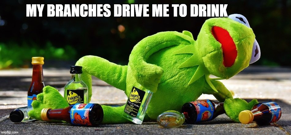 drunk kermit the frog | MY BRANCHES DRIVE ME TO DRINK | image tagged in kermit the frog,you're drunk | made w/ Imgflip meme maker