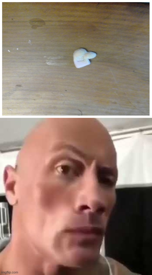 thats a bit sus | image tagged in the rock eyebrows | made w/ Imgflip meme maker