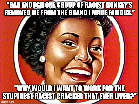 Aunt Jemima | "BAD ENOUGH ONE GROUP OF RACIST HONKEY'S REMOVED ME FROM THE BRAND I MADE FAMOUS." "WHY WOULD I WANT TO WORK FOR THE STUPIDEST RACIST CRACKE | image tagged in aunt jemima | made w/ Imgflip meme maker
