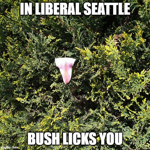 Libs | IN LIBERAL SEATTLE; BUSH LICKS YOU | image tagged in i'm gonna lick it | made w/ Imgflip meme maker