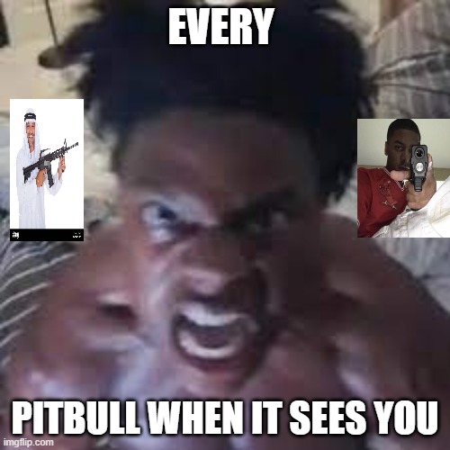 every pitbull i have encountered has been really nice | EVERY; PITBULL WHEN IT SEES YOU | image tagged in gun | made w/ Imgflip meme maker