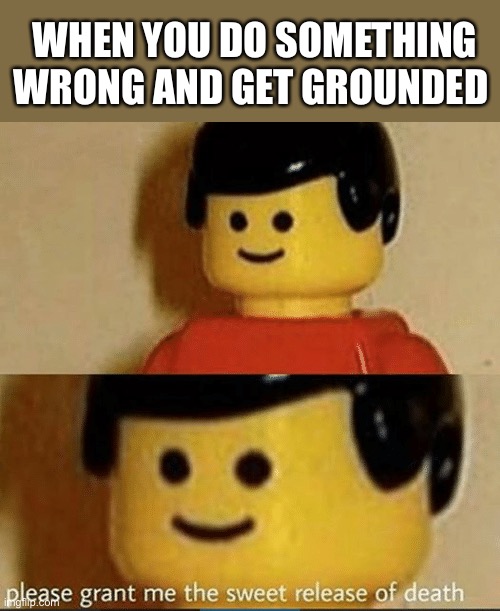 Anyone agree? |  WHEN YOU DO SOMETHING WRONG AND GET GROUNDED | image tagged in sweet release | made w/ Imgflip meme maker