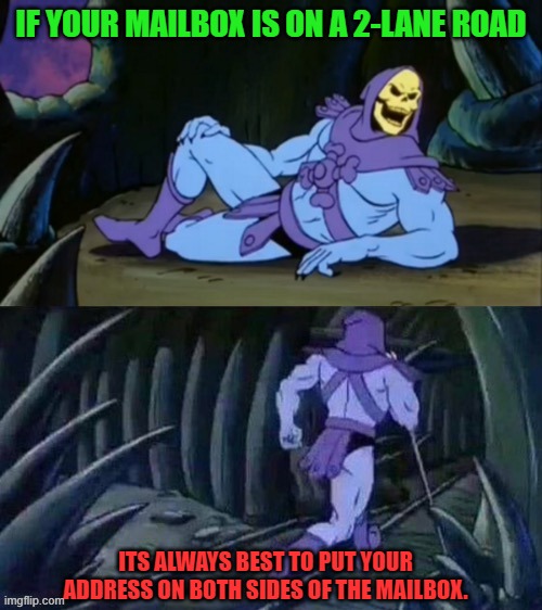 A tip from your Uncle Skeletor! | IF YOUR MAILBOX IS ON A 2-LANE ROAD; ITS ALWAYS BEST TO PUT YOUR ADDRESS ON BOTH SIDES OF THE MAILBOX. | image tagged in skeletor disturbing facts | made w/ Imgflip meme maker