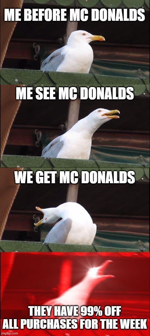 Mc Donalds be like... | ME BEFORE MC DONALDS; ME SEE MC DONALDS; WE GET MC DONALDS; THEY HAVE 99% OFF ALL PURCHASES FOR THE WEEK | image tagged in memes,inhaling seagull | made w/ Imgflip meme maker