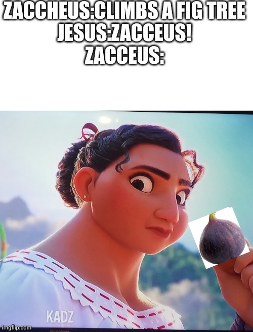 Bible meme 2 | ZACCHEUS:CLIMBS A FIG TREE
JESUS:ZACCEUS!
ZACCEUS: | image tagged in luisa | made w/ Imgflip meme maker