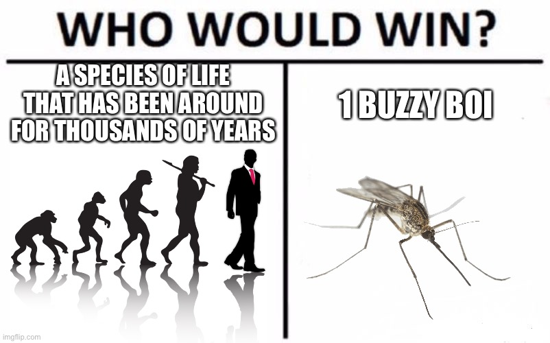 Day 999 of no title. | A SPECIES OF LIFE THAT HAS BEEN AROUND FOR THOUSANDS OF YEARS; 1 BUZZY BOI | image tagged in memes,who would win,human,humanity,bugs,why are you reading this | made w/ Imgflip meme maker