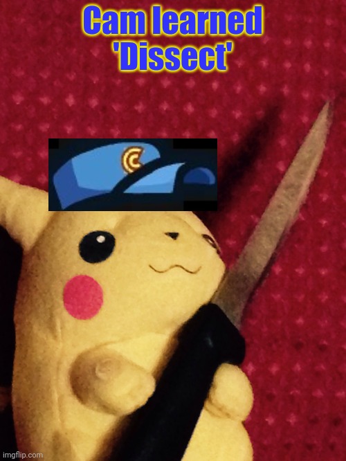 PIKACHU learned STAB! | Cam learned 'Dissect' | image tagged in pikachu learned stab | made w/ Imgflip meme maker