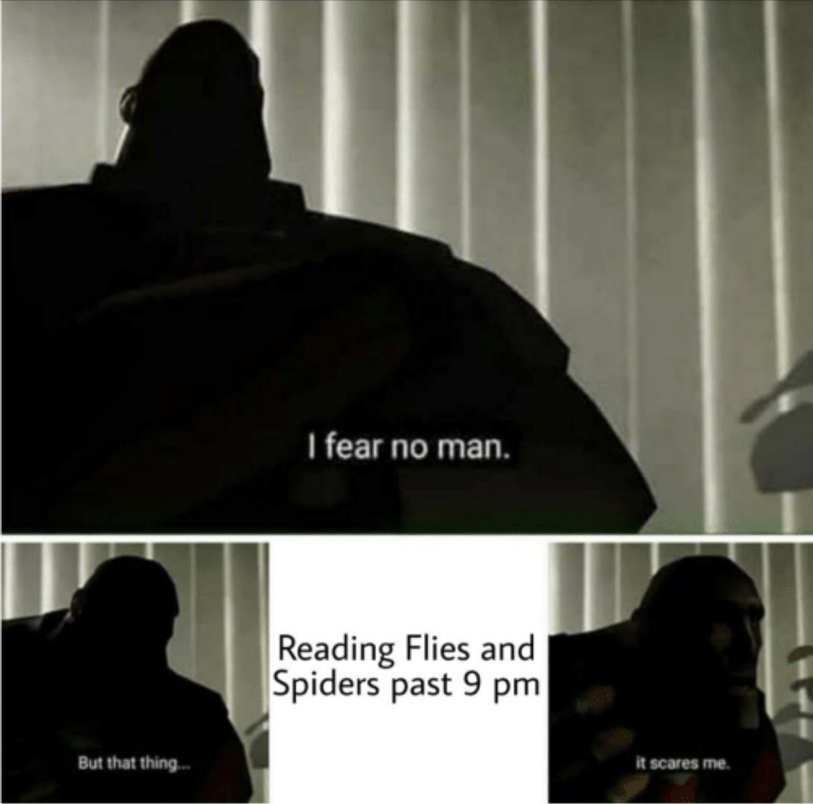 im not afraid of anything but that scares me meme Blank Meme Template