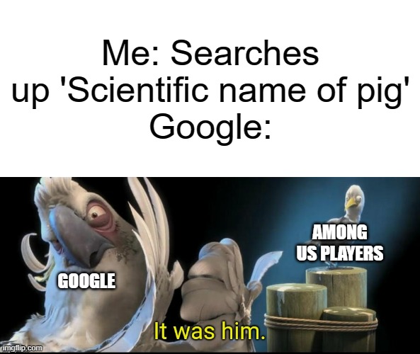 Just don't search up the scientific name of pig | Me: Searches up 'Scientific name of pig'
Google:; AMONG US PLAYERS; GOOGLE | image tagged in it was him,among us,sus,pig | made w/ Imgflip meme maker