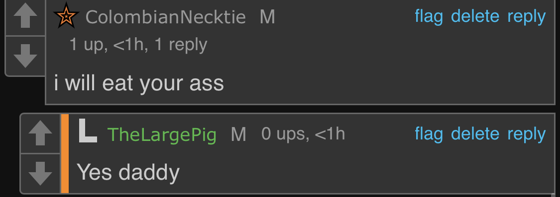 thelargepig is gay Blank Meme Template