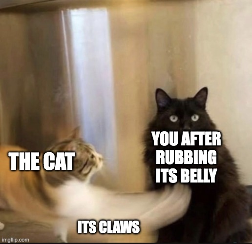 Cat punching CAT | THE CAT ITS CLAWS YOU AFTER RUBBING ITS BELLY | image tagged in cat punching cat | made w/ Imgflip meme maker