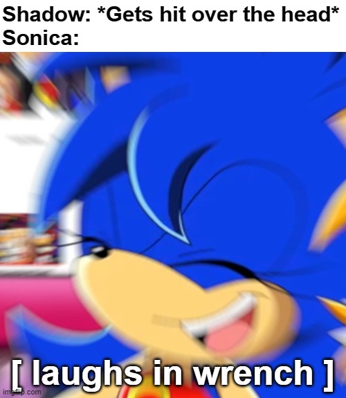 If you watched the T&SP episode you'll know what I mean |  Shadow: *Gets hit over the head*
Sonica: | image tagged in sonica the hedgehog,laughs in second concussion,psychopath,oh dear god why did i make this,memes | made w/ Imgflip meme maker