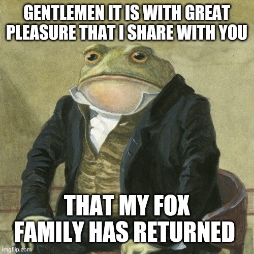 :) | GENTLEMEN IT IS WITH GREAT PLEASURE THAT I SHARE WITH YOU; THAT MY FOX FAMILY HAS RETURNED | image tagged in gentlemen it is with great pleasure to inform you that | made w/ Imgflip meme maker