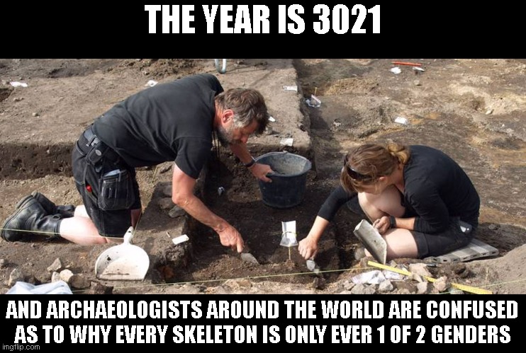 archeologists | THE YEAR IS 3021; AND ARCHAEOLOGISTS AROUND THE WORLD ARE CONFUSED AS TO WHY EVERY SKELETON IS ONLY EVER 1 OF 2 GENDERS | image tagged in archeologists | made w/ Imgflip meme maker