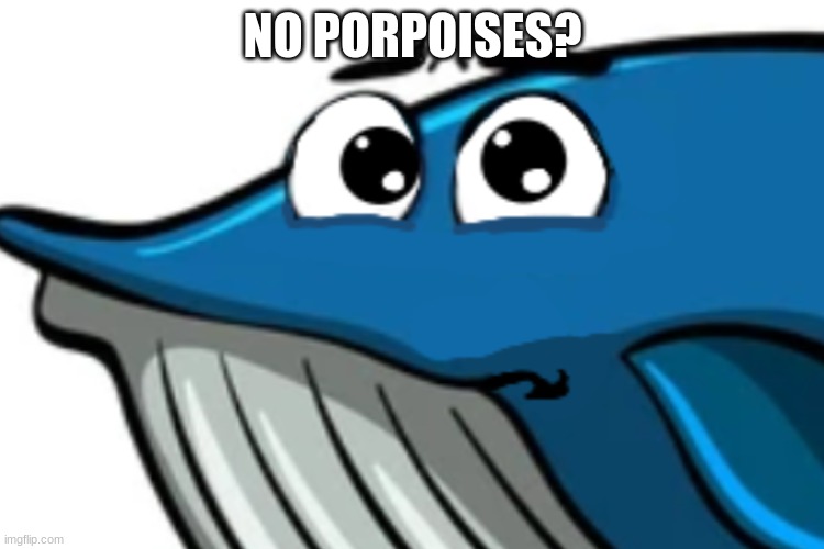 No porpoises | NO PORPOISES? | image tagged in funny | made w/ Imgflip meme maker