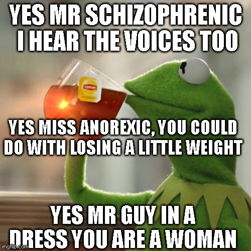 But That's None Of My Business | YES MR SCHIZOPHRENIC  I HEAR THE VOICES TOO; YES MISS ANOREXIC, YOU COULD DO WITH LOSING A LITTLE WEIGHT; YES MR GUY IN A DRESS YOU ARE A WOMAN | image tagged in memes,but that's none of my business,kermit the frog | made w/ Imgflip meme maker