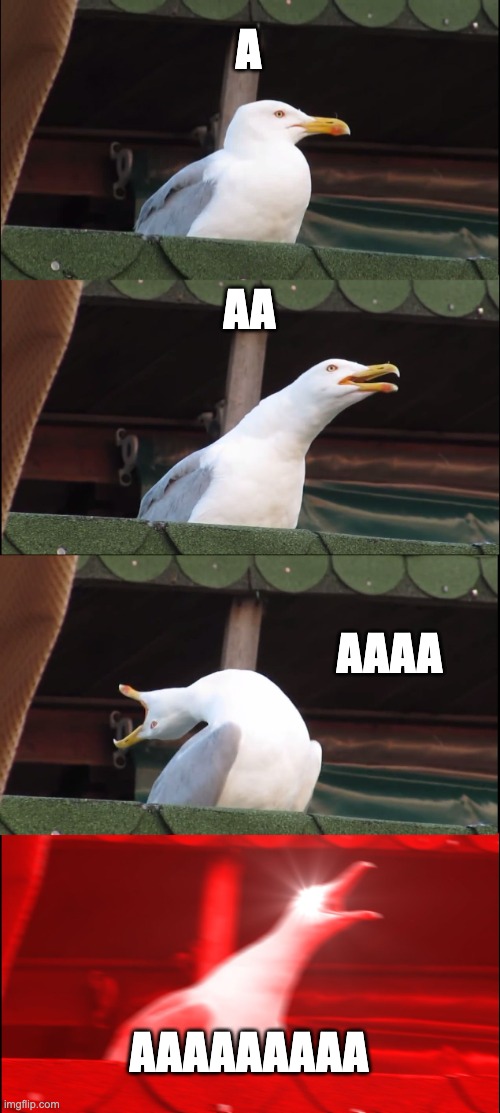 Inhaling Seagull | A; AA; AAAA; AAAAAAAAA | image tagged in memes,inhaling seagull | made w/ Imgflip meme maker