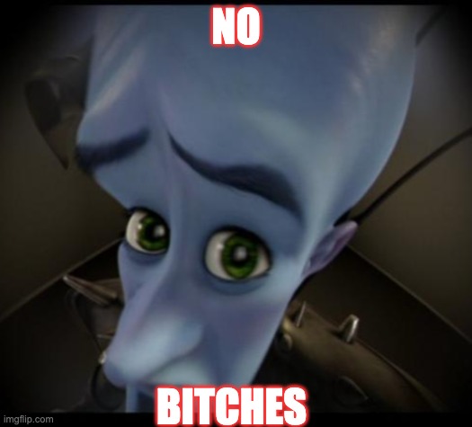 Megamind peeking | NO; BITCHES | image tagged in no bitches | made w/ Imgflip meme maker