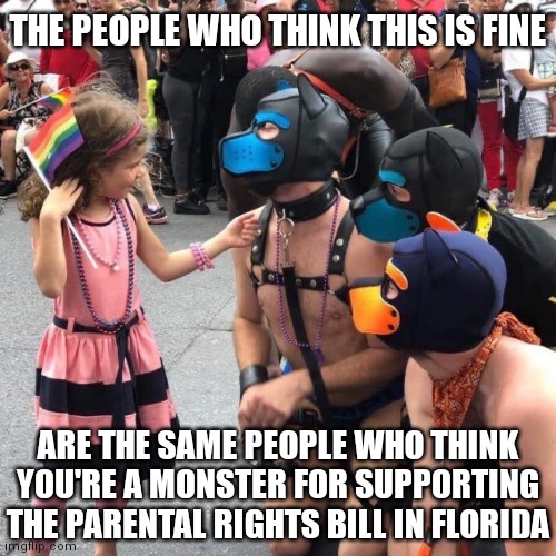 The perversion is REAL | THE PEOPLE WHO THINK THIS IS FINE; ARE THE SAME PEOPLE WHO THINK YOU'RE A MONSTER FOR SUPPORTING THE PARENTAL RIGHTS BILL IN FLORIDA | image tagged in democrats,liberals,gay,florida | made w/ Imgflip meme maker