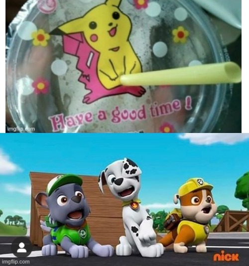 Ew, Pikachu | image tagged in paw patrol shocked rocky marshall and rubble,paw patrol,pokemon,you had one job | made w/ Imgflip meme maker