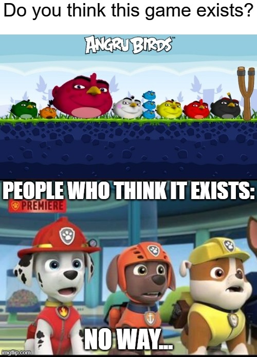 What if Angru birds exist? | Do you think this game exists? PEOPLE WHO THINK IT EXISTS:; NO WAY... | image tagged in shocked marshall zuma and rubble,paw patrol,despicable me,angry birds | made w/ Imgflip meme maker