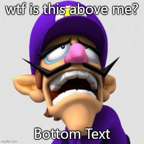 wah wah bitches | wtf is this above me? Bottom Text | image tagged in sad waluigi | made w/ Imgflip meme maker