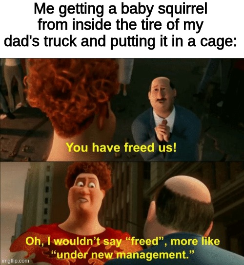 Me getting a baby squirrel from inside the tire of my dad's truck and putting it in a cage: | image tagged in blank white template,i wouldnit say freed | made w/ Imgflip meme maker