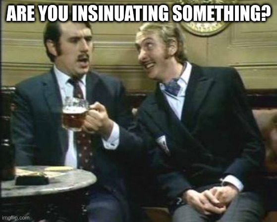 Nudge Nudge | ARE YOU INSINUATING SOMETHING? | image tagged in nudge nudge | made w/ Imgflip meme maker