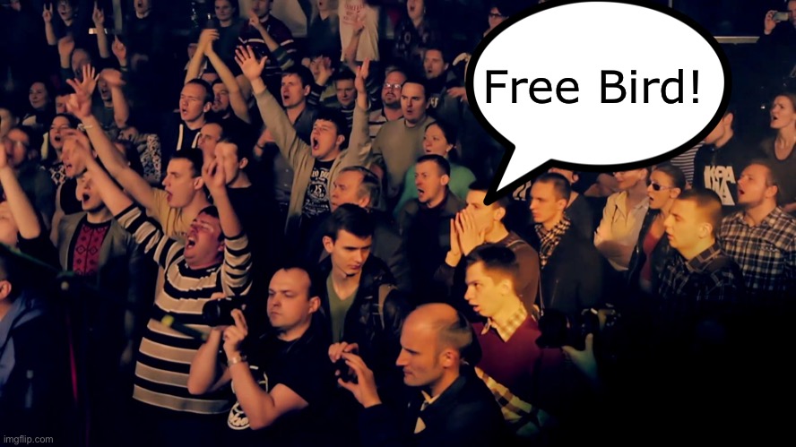 Clapping audience | Free Bird! | image tagged in clapping audience | made w/ Imgflip meme maker