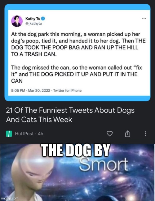 Beeg brain doggo | THE DOG BY | image tagged in meme man smort | made w/ Imgflip meme maker